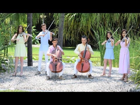 Fotografía de Videos banquete concepto MODERNO  de Violines Familia Musical Cortes - 29808 