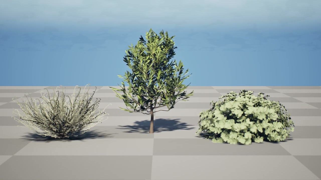 Moroccan Arid Flora Collection 3D Model