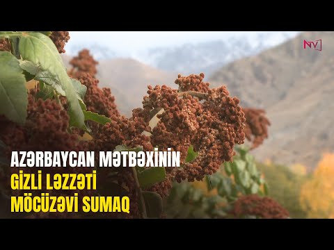 SUMAĞIN ƏTRİ 07.11.2025