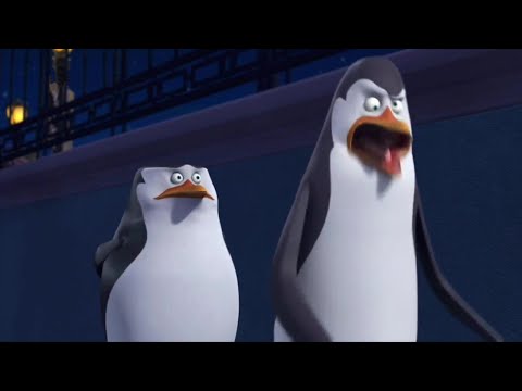 Kowalski doznał urazu mózgu i bredzi