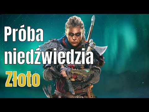 Zagrajmy w Assassins Creed Valhalla (PL) warownia Templebrough - Próba niedźwiedzia - Złoto [XSX]