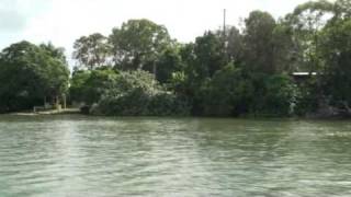 preview picture of video 'Noosa Everglades and Rainbow beach discovery Cruise'n'Coast Queensland Aust.'