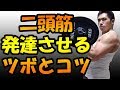 二頭筋を太くするための基本をお話します♪