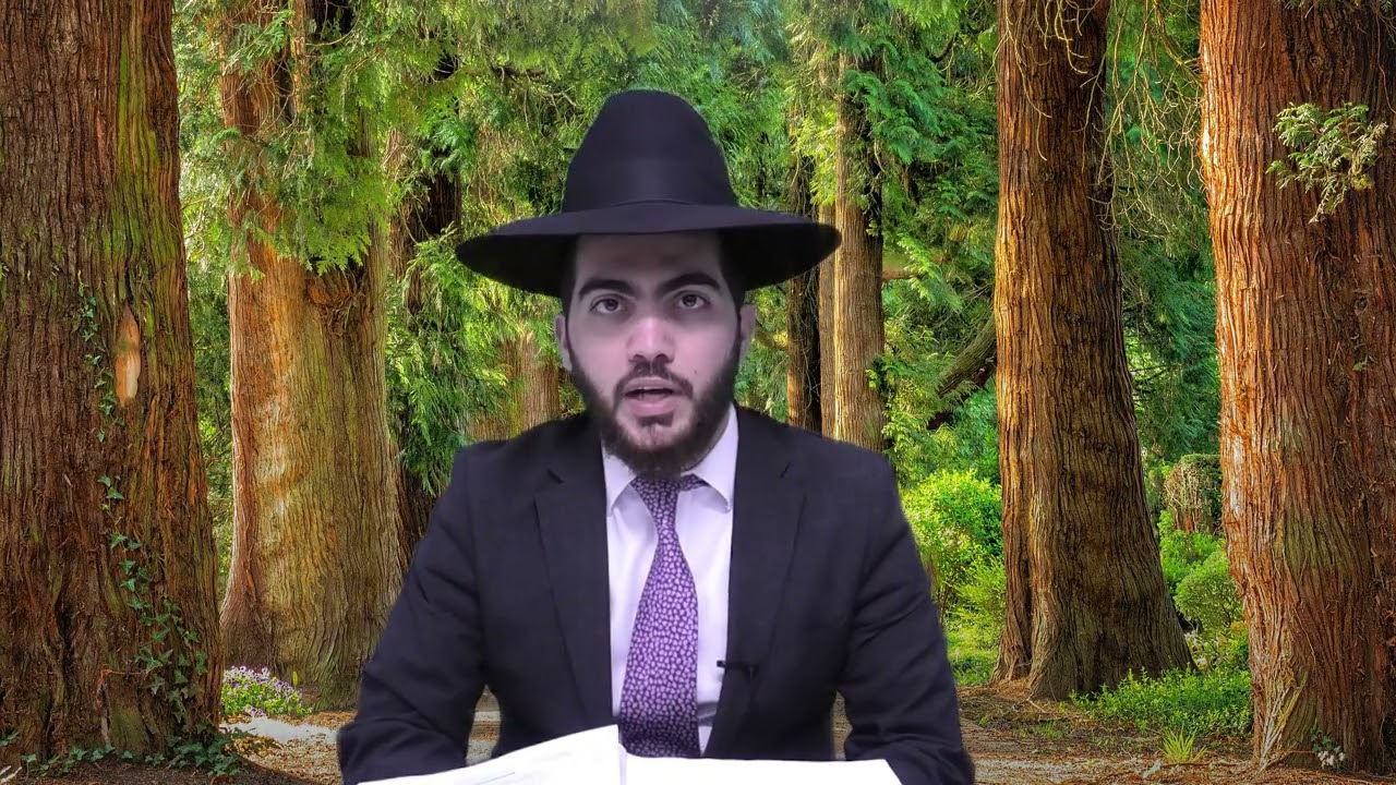 כסאות ובורות ברשות הרבים האם דינם כרשות היחיד?| הרב יצחק מאזוז | סימן שמה \י- יב