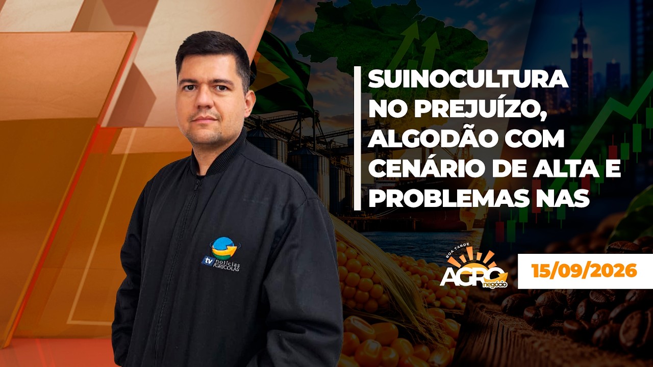 BOA TARDE AGRONEGÓCIO - Suinocultura no prejuízo, algodão com cenário de alta e problemas nas...