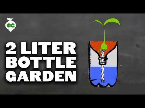 How to Prepare Water for Hydroponics