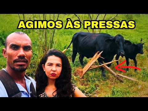 EP.33- O INESPERADO aconteceu no nosso sítio Isolado... Tivemos que agir RÁPIDO para salvar Tudo!😯