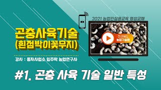 [곤충사육기술] part1. 곤충 사육 일반 특성