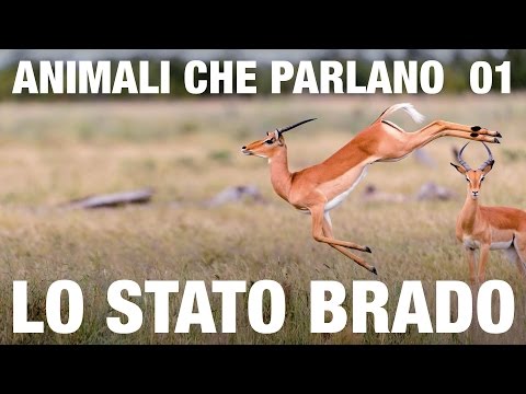 Come smettere di fumare e lalcool di bevanda indipendentemente in condizioni di casa Una storia su che come fermato bere