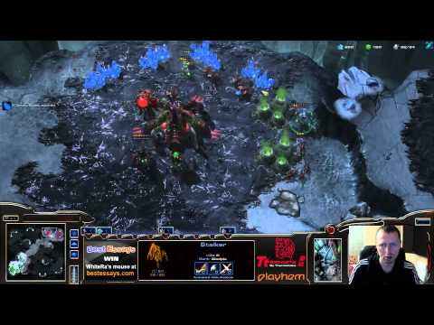 [HOTS] White-Ra [P] vs Dissonance [Z] FP VOD  - November 18 2012 - PvZ