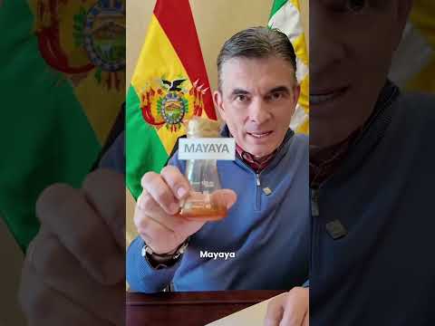 PRESIDENTE PAZ PROMULGA LEY PARA NUEVA PLANTA FOTOVOLTAICA EN VIACHA ☀️