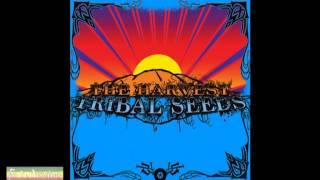 Tribal Seeds - The Garden