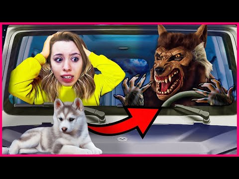 GERÇEK HAYATTA İLK KURT ADAM 'IN HİKAYESİ MELİS GÖKER