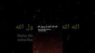 Download lagu STATUS WA 30 DETIK | SHALAWAT NABI | ISLAMI mp3 Download lagu STATUS WA 30 DETIK | SHALAWAT NABI | ISLAMI mp3