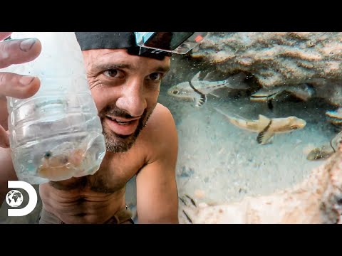 🔴 EN VIVO: Descubre las increíbles aventuras y técnicas de supervivencia de Ed Stafford por el mundo