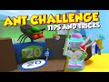 Bee Swarm Simulator Ant Challenge Tips And Tricks