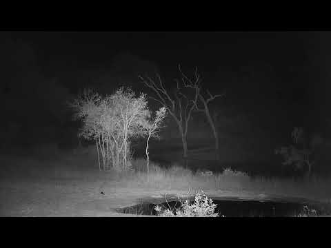 Djuma: Sights and sounds-Pt:1 - 03:57 - 08/18/20