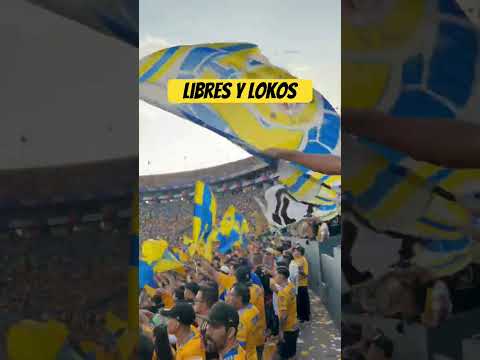 "Hinchada de Tigres de México // Libres y Lokos 2025!#mexico #libresylokos #tigresuanl" Barra: Libres y Lokos &bull; Club: Tigres