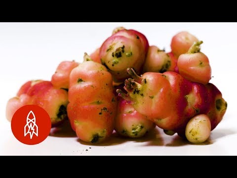 Have You Tasted Any Of These Rare Fruits and Vegetables?
