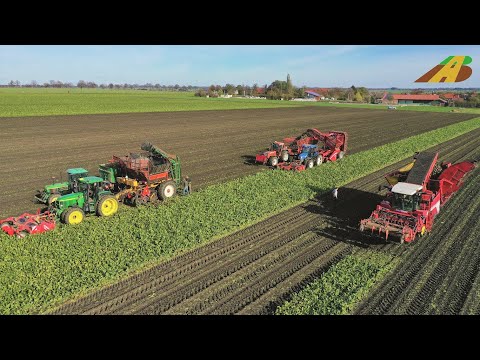 Großeinsatz Rüben roden 18 reihige Rübenernte Landwirtschaft Niedersachsen Sugarbeet harvesting 2020