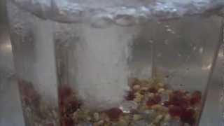 Lady Lazarus - Sick Child (Official Video)