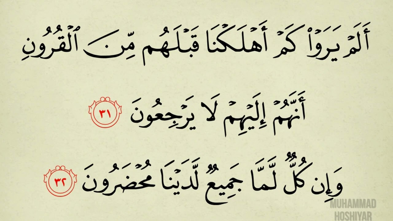 عبدالكريم ديوان سورة ي س abdulkarim diwan surah yasin
