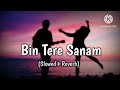 Bin Tere Sanam Slowed And Reverb Udit Narayan Kavita K