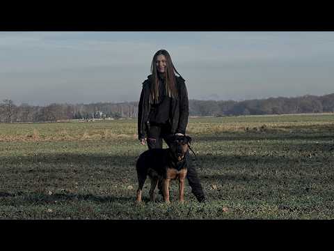 Fendt & Thanos *GR Bajus*