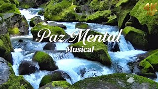 Download lagu Música Relaxante para Acalmar Ansiedade e Estresse | Sons da Natureza para Relaxar mp3 Download lagu Música Relaxante para Acalmar Ansiedade e Estresse | Sons da Natureza para Relaxar mp3