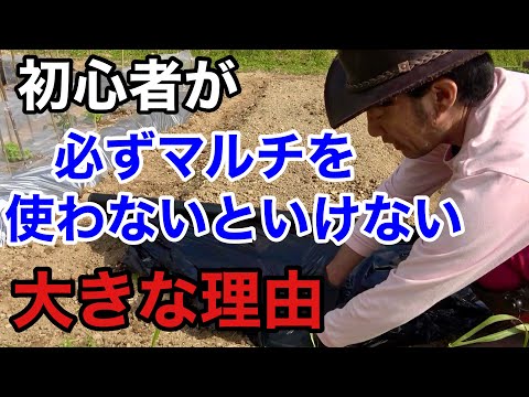 天然わら オーガニック ガーデンマルチ 安くて便利 かわいい