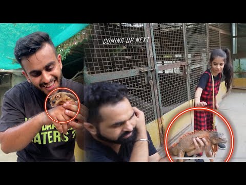Guneet is Really Scared of Iguanas 😱@Harpreet SDC