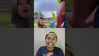 Download lagu Rafa asks for all the snacks #youtubeshorts #bajrangbali #bajrangbaliðÿ #comedy #funny #lucu mp3