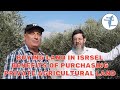 Buying Land In Israel Benefits Of Purchasing Private Agricultural Land