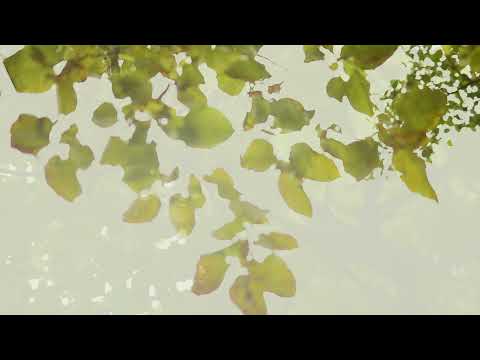 Youtube Video BUvD9X7jGV0