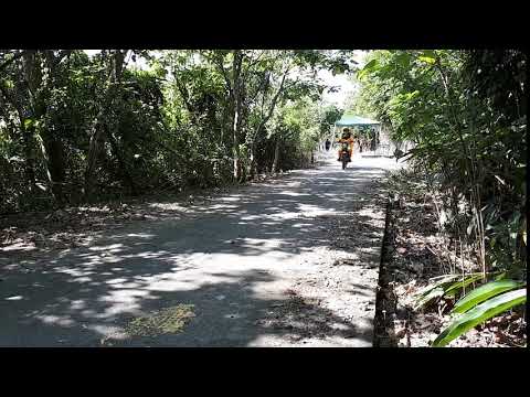 活動開始由花蓮林區管理處處長楊瑞芬著全套防火裝、身騎保林機車入場，掀起高潮