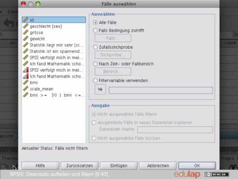 SPSS: Aufteilen und Filtern von Datensätzen