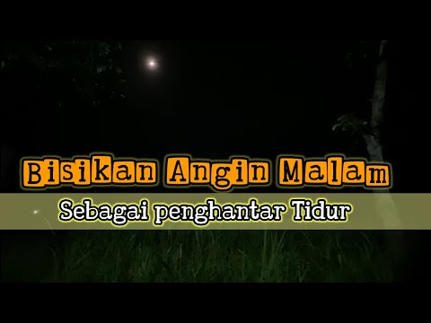 Bisikan Angin Malam Sebagai Penghantar Tidur