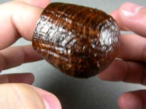 QualityBriar.com / Cornelius Mänz