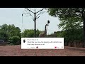 Creed - My Sacrifice x Rupert Holmes - Escape (The Pina Colada Song) | Airro Mashup @airromusic