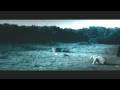 The Ring La Parodia