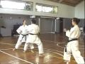 Bunkai Kanku Sho