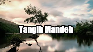 Download lagu TANGIH MANDE - Lagu Minang Sedih (Lirik) mp3