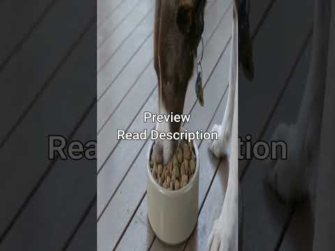 Purina: ONE Dog Food Review: Pros, Cons, and Ingredient Analysis Review Preview