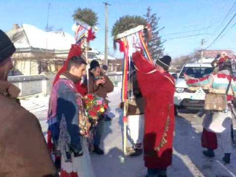 mascatii din verseni