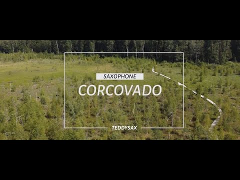 Saksofonistas Tadas Bružas  #4