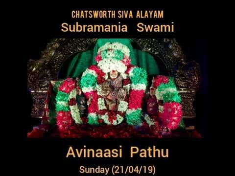 Avinaasi Pathu - Chatsworth Siva Alayam 21/04/19