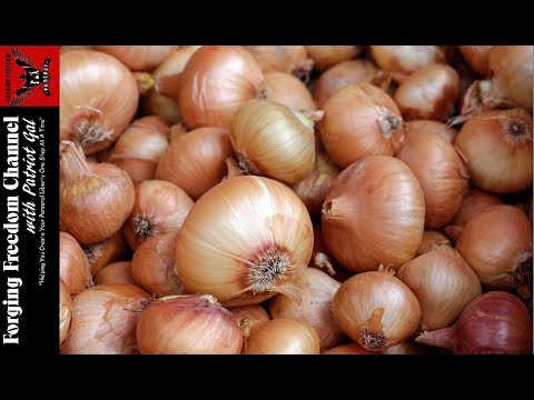 , title : 'How to Grow Huge Big Bulb Onions'