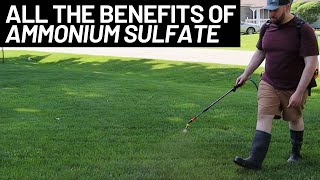 Ammonium Sulfate Fertilizer For Beginners | LESS Than 4 Minutes