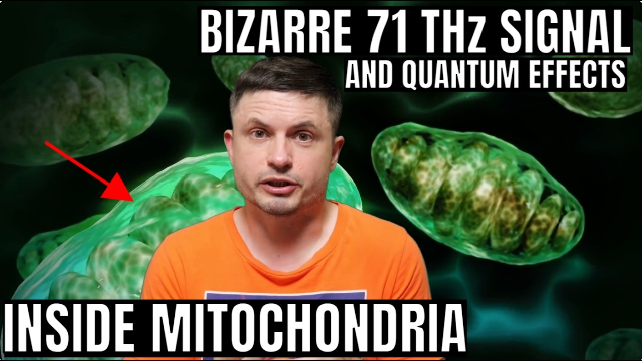 Earth’s Magnetic Field Is Directly Interacting With Your Mitochondria