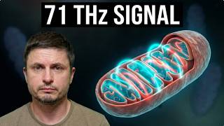 Mitochondria Are Not Just Powerhouses, They're Running the Entire Body
